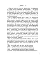 đánh giá hiệu quả sử dụng các công cụ chính sách tiền tệ ở việt nam trong thập kỷ 90 và những năm đầu thế kỷ xxi