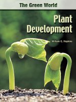 plant development