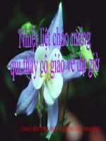 giáo án than khảo bồi dưỡng thao giảng, thi giáo viên giỏi môn sinh học lớp 9 tiết 23 đột biến cấu trúc nhiễm sắc thể (12)