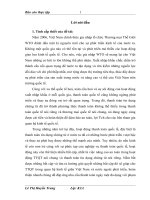 giải pháp nâng cao chất lượng thanh toán tín dụng chứng từ tại ngân hàng đầu tư và phát triển việt nam, chi nhánh móng cái