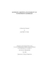 modeling growth and stability of nanoporous materials