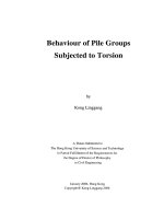 behaviour of pile groups subjected to torsion
