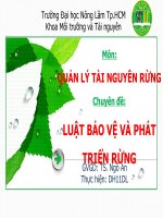 Báo cáo quản lý tài nguyên rừng luật bảo vệ và phát triển rừng