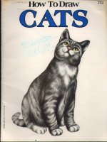 how to draw cats