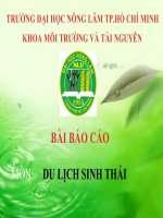 Báo cáo du lịch sinh thái công cụ đánh giá tính bền vững trong du lịch sinh thái