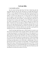 thực trạng tổ chức và hoạt động của thanh tra ngân hàng nhà nước việt nam