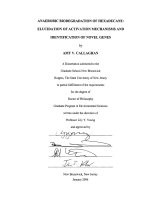 anaerobic biodegradation of hexadecane elucidation of activation mechanisms and identification of novel genes