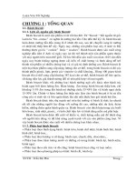 Luận văn tốt nghiệp quy trình sản xuất bánh biscuit