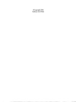 development and application of mixed beam-solid models for analysis of soil-pile interaction problems