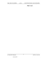 Luận văn: Kế toán chi phí sản xuất và tính giá thành sản phẩm gạch R60x210 tại công ty cổ phần gạch bích sơn việt yên  bắc giang