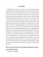 hệ số an toàn vốn và tình hình thực hiện hệ số an toàn vốn của nhtm việt nam