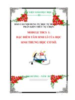 BÁO CÁO NỘI DUNG TỰ HỌC TỰ BỒI DƯỠNG PHẦN KIẾN THỨC TỰ CHỌN. MODULE THCS  1: ĐẶC ĐIỂM TÂM SINH LÍ CỦA HỌC SINH TRUNG HỌC CƠ SỞ.