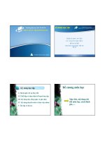 Bài giảng kỹ năng học tập