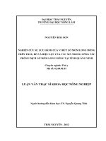 Nghiên cứu sự lưu hành của vi rút lở mồm long móng trên trâu, bò và hiệu lực của vắc xin trong công tác phòng dịch lở mồm long móng tại tỉnh Quảng Ninh