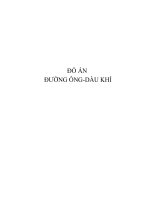 đồ án đường ống dầu khí