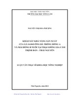 Khảo sát khả năng sản xuất của gà Sasso ông bà trống dòng A và mái dòng B nuôi tại trại giống gia cầm Thịnh Đán, Thái Nguyên