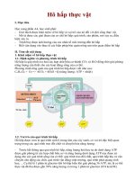 bài 11: hô hấp ở thực vật