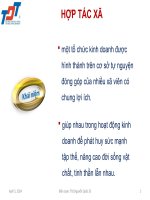 Hợp tác xã (bộ môn luật kinh doanh)