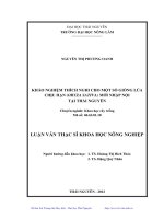 Khảo nghiệm thích nghi cho một số giống lúa chịu hạn (Oryza Sativa) mới nhập nội tại Thái Nguyên