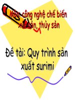 đề tài quy trình sản xuất surimi