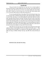 phân tích tình hình tiêu thụ sản phẩm và xây dựng một số biện pháp đẩy mạnh tiêu thụ sản phẩm của công ty cổ phần  đồ hộp  hạ long  năm 2004