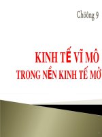 Slide bài giảng kinh tế vi mô trong nền kinh tế mở