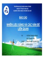 BÁO CÁO NHIÊN LIỆU XĂNG VÀ CÁC VẤN ĐỀ LIÊN QUAN