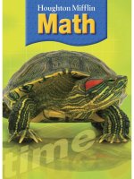 houghton mifflin math grade 4b