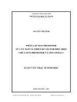 Phân lập SUS1 Promoter từ cây ngô và thiết kế vector biểu hiện chứa SUS1 promoter và Gen Cryia (C)
