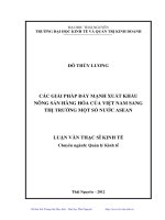 Các giải pháp đẩy mạnh xuất khẩu nông sản hàng hóa của Việt Nam sang thị trường một số nước Asean