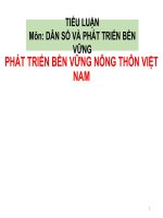 phát triển bền vững nông thôn Việt Nam
