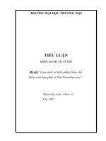 Tiểu luận KTVM đề tài“lạm phát và biện pháp kiềm chế, kiểm soát lạm phát ở việt nam hiện nay