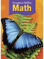 houghton mifflin math grade 3b