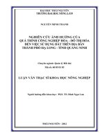 Nghiên cứu ảnh hưởng của quá trình công nghiệp hóa, đô thị hóa đến việc sử dụng đất trên địa bàn thành phố Hạ Long, tỉnh Quảng Ninh
