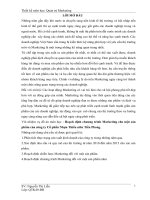 hoạch định chương trình marketing cho một sản phẩm của công ty cổ phần nhựa thiếu niên tiền phong