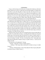 biện pháp hoàn thiện công tác phân phối lợi nhuận tại công ty cổ phần lisemco 2