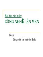 công nghệ sản xuất cồn etylic