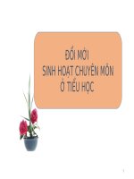 Tập huấn đổi mới sinh hoạt chuyên môn cấp Tiểu học