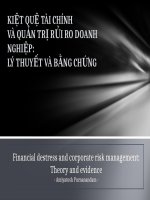 Báo cáo môn quản trị rủi ro KIỆT QUỆ TÀI CHÍNH VÀ QUẢN TRỊ RỦI RO DOANH NGHIỆP:LÝ THUYẾT VÀ BẰNG CHỨNG