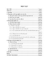 Tiểu luận quản trị rủi ro KIỆT QUỆ TÀI CHÍNH VÀ QUẢN TRỊ RỦI RO DOANH NGHIỆP LÝ THUYẾT VÀ BẰNG CHỨNG