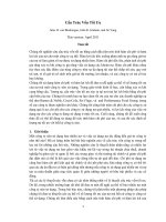 Bài dịch Cấu Trúc Vốn Tối Ưu Jules H. van Binsbergen, John R. Graham, and Jie Yang