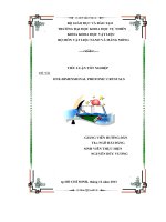 tiểu luận tốt nghiệp đề tài: one-dimensional photonic crystals