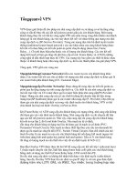 các thành phần trong mpls-vpn