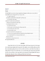 Tiểu luận Tài chính doanh nghiệp Các lý thuyết cấu trúc vốn