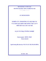 Nghiên cứu ảnh hưởng của mật độ cấy và lượng kali bón cho giống việt lai 75 trên đất gia lâm, hà nội