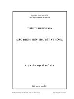 đặc điểm tiểu thuyết vi hồng