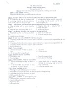 đề thi pháp luật đại cương đề 3