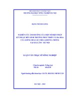 Nghiên cứu ảnh hưởng của một số biện pháp kỹ thuật đến sinh trưởng phát triển và ra hoa của giống hoa lily belladonna trồng tại gia lâm, hà nội