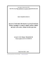 Quản lý rủi ro tín dụng tại ngân hàng nông nghiệp và phát triển nông thôn huyện Yên Sơn, tỉnh Tuyên Quang
