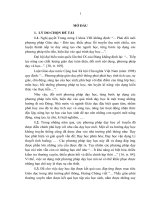 bước đầu vận dụng dạy học chương trình hóa vào việc giảng dạy một số nội dung trong môn đại số lớp 10 trung học phổ thông